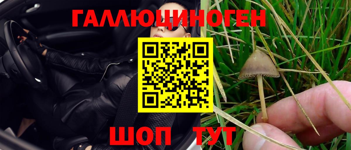 Коммунар  Галлюциногенные грибы GOLDEN TEACHER  Псилоцибиновые грибы прущие грибы  Вход с VPN 